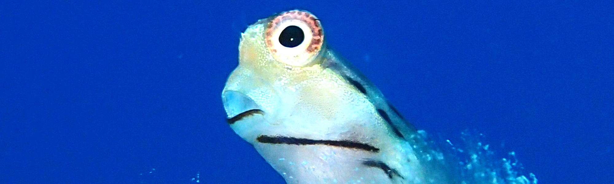 よくある質問　Ｑ＆Ａ